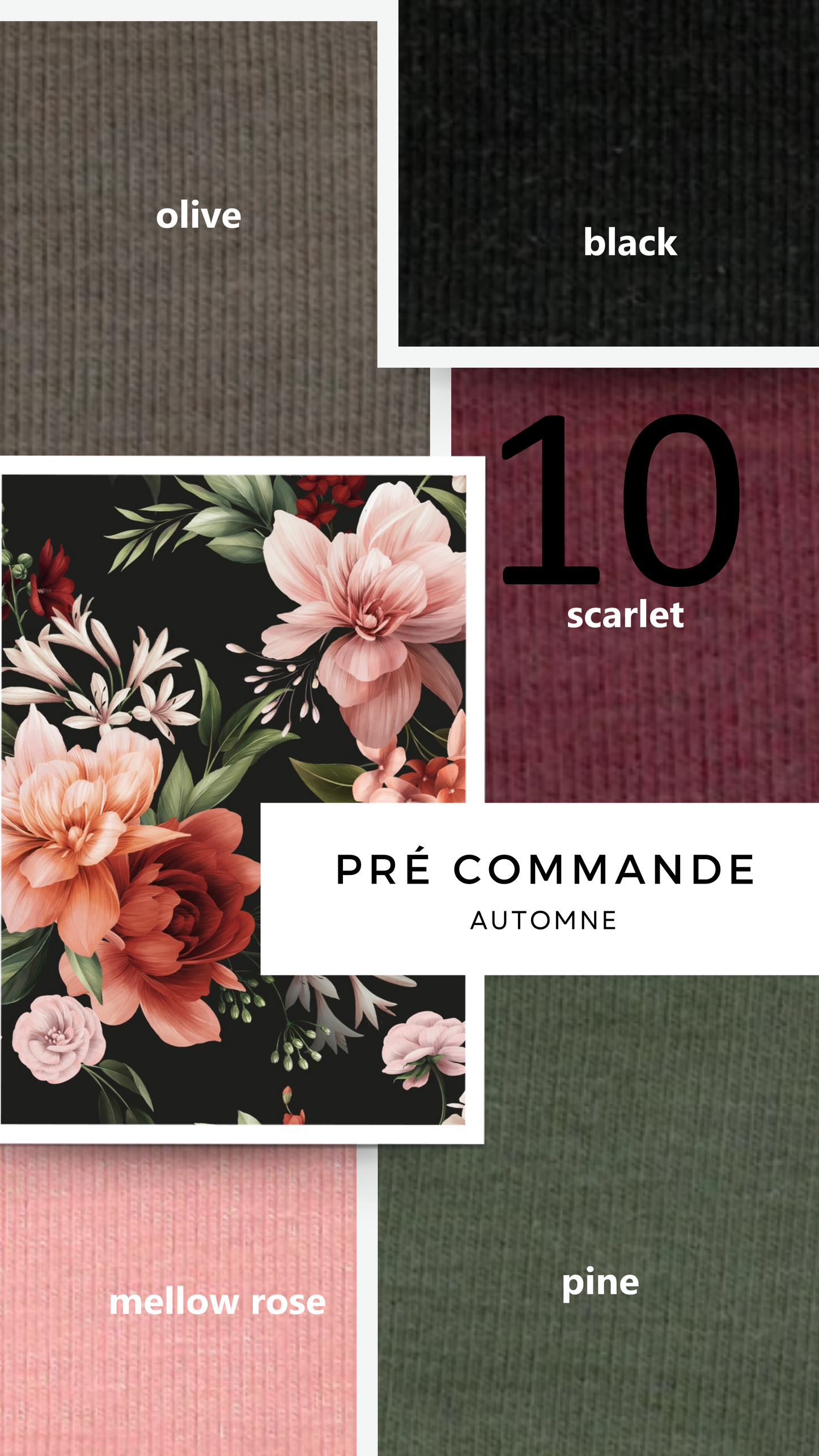 Pré commande automne